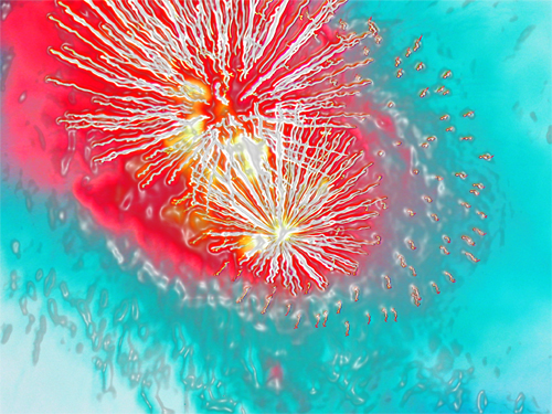 Fogo de artifício
